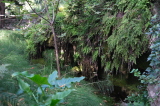 2024_10_12-09_53_02.jpg