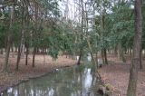 2024_12_22-13_41_00.jpg
