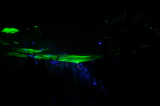 2024_12_22-18_36_49.jpg