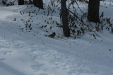 2025_03_22-11_04_13.jpg