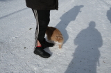 2025_03_22-13_23_09.jpg