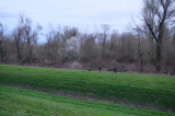 2025_03_12-17_44_59.jpg