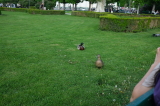 2025_04_23-16_28_39.jpg