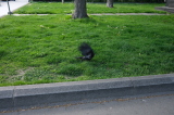2025_04_23-16_37_24.jpg