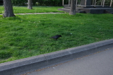 2025_04_23-16_37_25.jpg