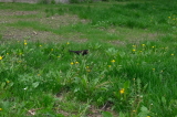 2025_04_24-09_06_35.jpg