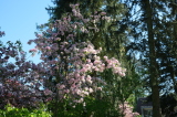 2025_04_26-09_44_22.jpg