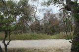 2025_04_30-15_20_05.jpg