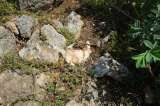 2025_05_02-11_46_56.jpg