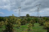 2025_05_02-13_24_55.jpg