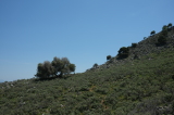 2025_05_04-13_04_35.jpg