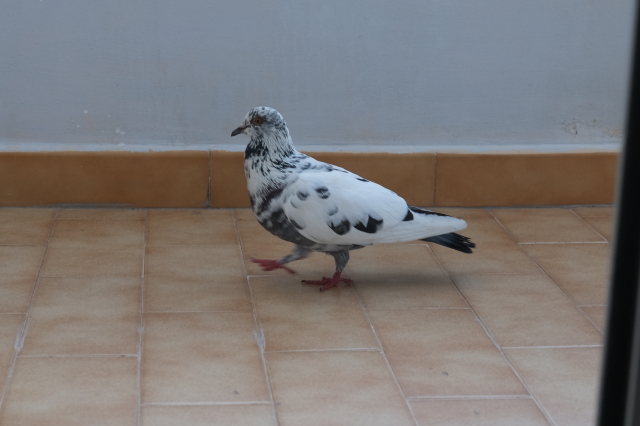 2025_05_05-09_34_17.jpg