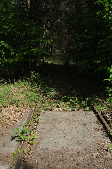 2025_05_08-13_49_46.jpg