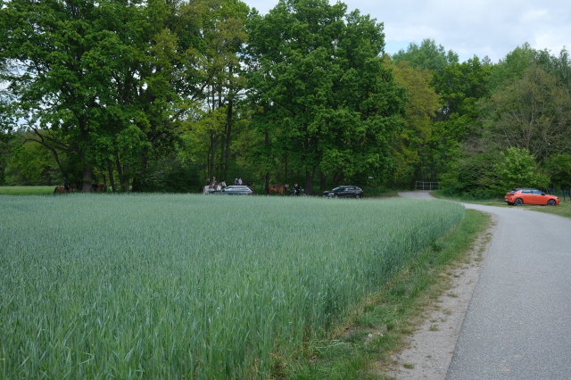 2025_05_08-14_06_37.jpg