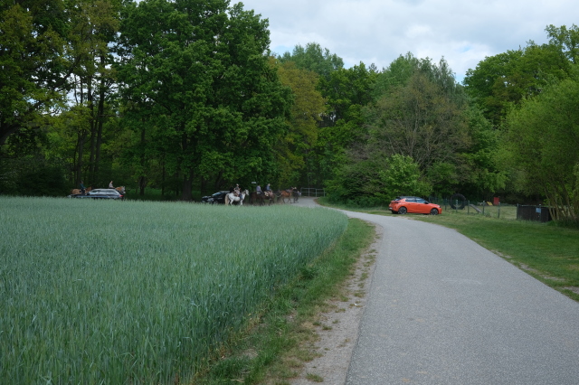 2025_05_08-14_06_48.jpg