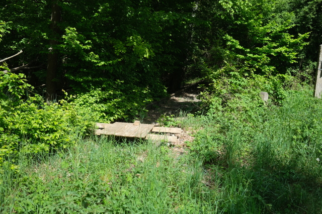 2025_05_08-14_20_53.jpg