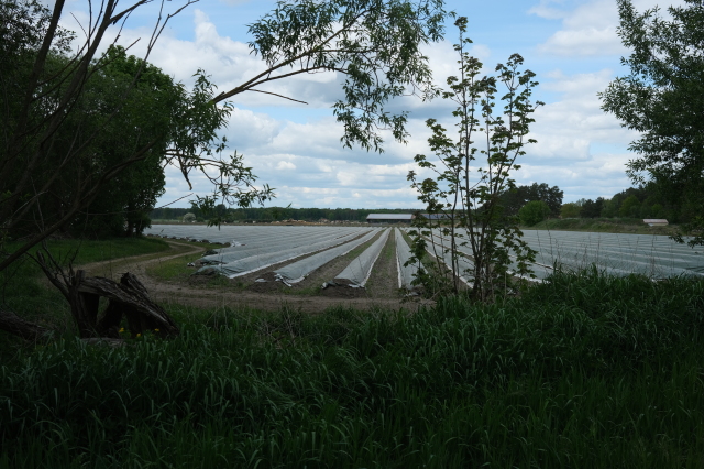 2025_05_08-14_42_24.jpg