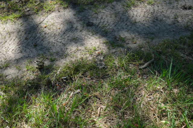2025_05_09-10_39_03.jpg