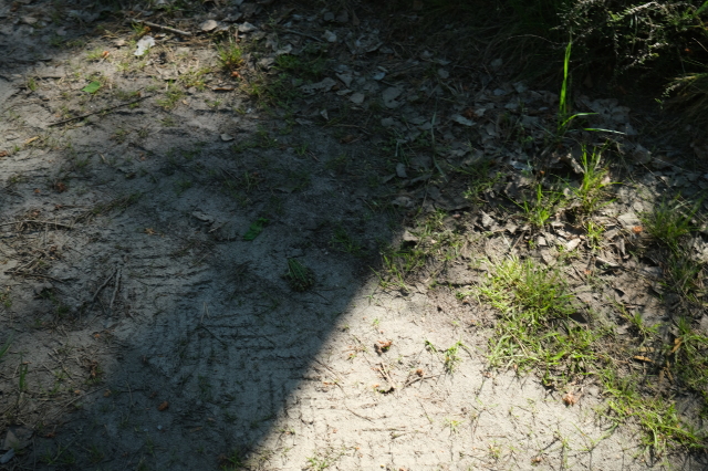 2025_05_09-10_39_05.jpg