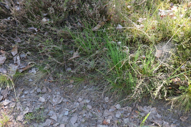 2025_05_09-10_40_00.jpg