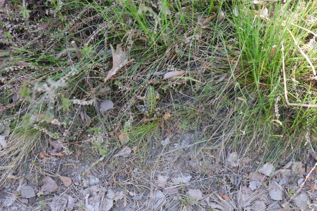 2025_05_09-10_41_04.jpg