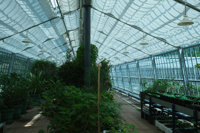 2025_05_09-13_17_36.jpg
