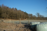 2025_12_29-10_10_26.jpg