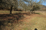 2025_12_29-12_04_31.jpg