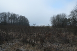 2025_12_29-13_36_24.jpg