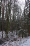 2025_12_30-09_44_12.jpg