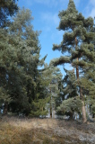 2025_12_30-12_02_56.jpg