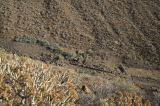 2025_12_01-09_08_10.jpg