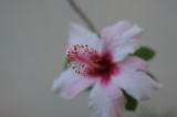 2025_12_01-15_44_21.jpg