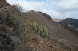 2025_12_02-09_23_49.jpg