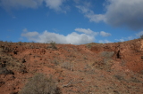 2025_12_02-09_59_37.jpg