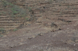 2025_12_02-10_40_11.jpg