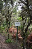 Garajonay National Park