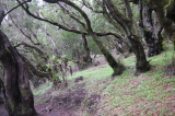 2025_12_05-09_12_21.jpg