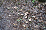 2025_12_05-10_02_50.jpg