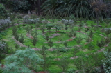 2025_12_05-15_57_14.jpg