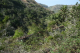 2025_12_06-14_08_44.jpg