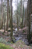 2026_03_25-09_37_54.jpg