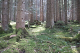 2026_03_25-12_30_35.jpg