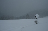 2026_03_26-08_34_24.jpg