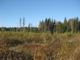 10_25_54.jpg