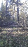 16_07_33.jpg