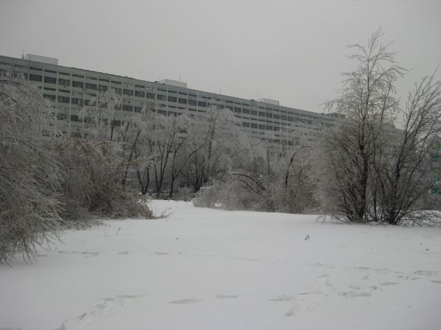 10_39_43.jpg