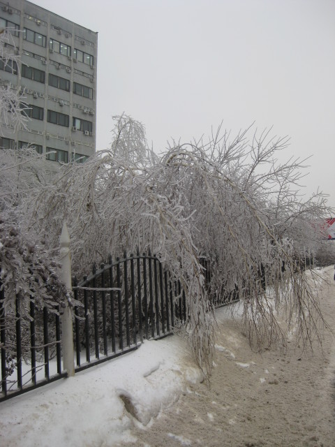 10_43_35.jpg