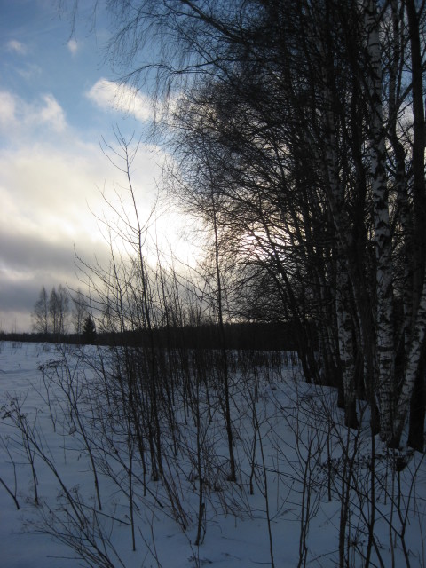 14_52_39.jpg