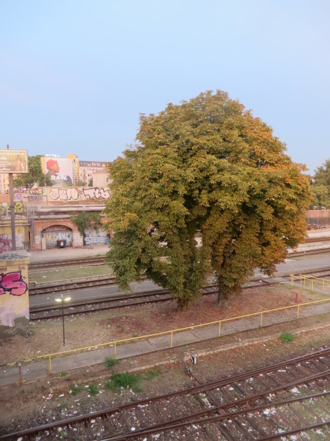 19_37_15.jpg